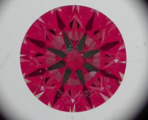 dscn1805.jpg