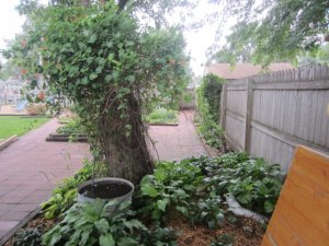 img_5169.jpg