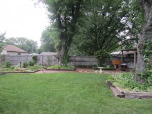 img_5175.jpg