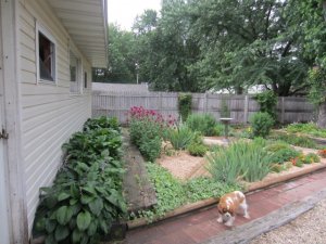 img_5176.jpg
