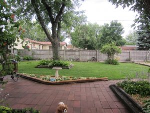img_5186.jpg