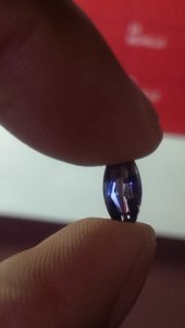 imag1531.jpg