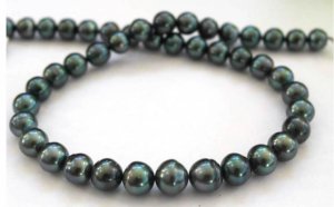 blugreen-sb.jpg