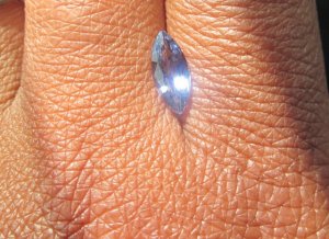 blue6.jpg