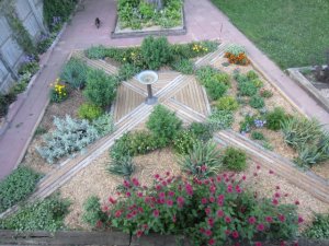 img_5224.jpg