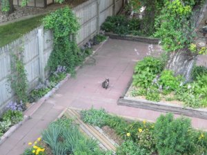 img_5227.jpg