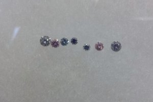 violet_line_up_1.jpg