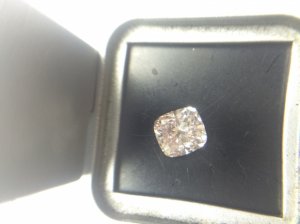 _20924.jpg
