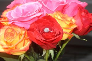img_8426.jpg