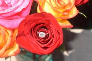 img_8427.jpg