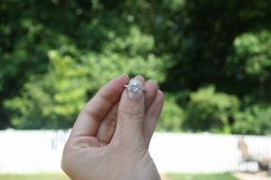img_8448.jpg