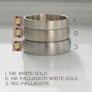 niel-wg-palladium-comparison-aidememoirejewellry.jpg