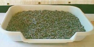 dog_litterbox.jpg