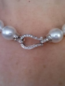 wss_clasp_close-up.jpg