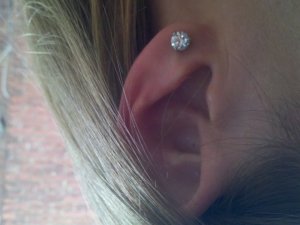 quick_ear_shot.jpg quick_ear_shot.jpg