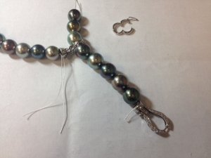 hisano_photo_of_pearlshortener.jpg