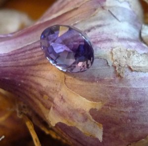 sapphandgarlic1.jpg