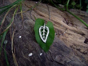 454leafleaf1.jpg