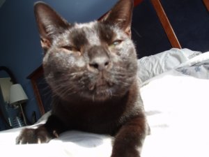 frankiewakingupslowly.jpg