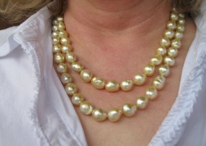 goldentoday_4893.jpg