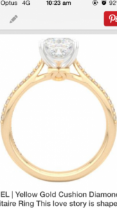 ring_setting.png