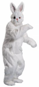 bunny-suit.jpg