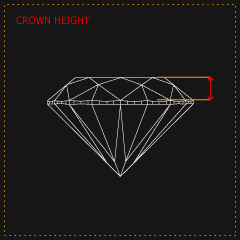 anatomy_crown_height.gif
