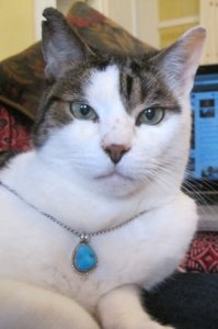 peternecklace.jpg