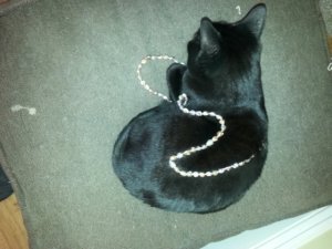 frankieinpearls.jpg