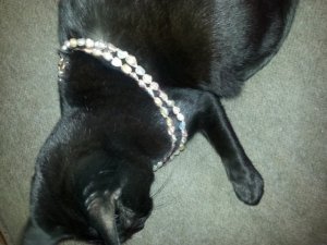 francescashowingoffhertrimfigurewithdoublingthepearls.jpeg