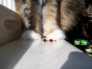 _21706.jpg