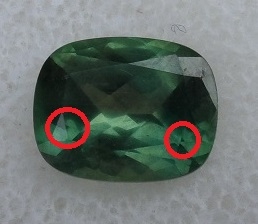 _21750.jpg