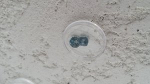 20140829_190048.jpg