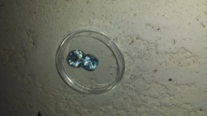 burntsky-green-and-blue-gemfix.jpg