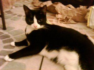 img00242-20100518-2320__201_.jpg