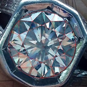 bluelotus-wire.jpg