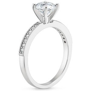 be_ring_side_view.jpg