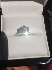 img_5481.jpg