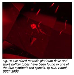 fig4.jpg