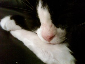 img00028-20100228-2020.jpg