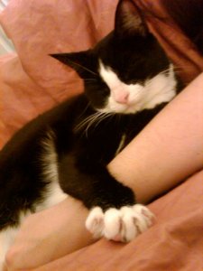 img00331-20100613-0050.jpg