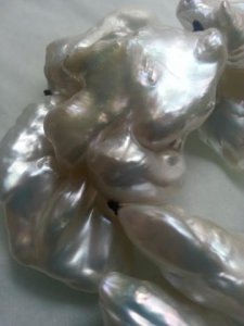 close-up_11.jpg