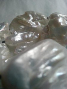 close-up_12.jpg