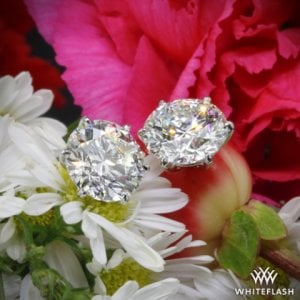 6-prong-martini-diamond-earrings-in-platinum-by-whiteflash_39053_g.jpg
