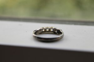 _22353.jpg