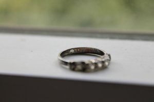 _22356.jpg
