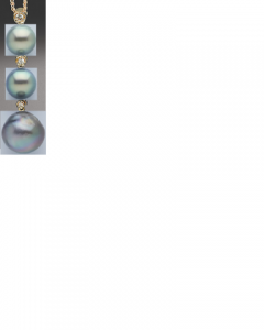 tara_bezel.png