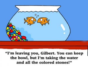 fish-gravel.jpg