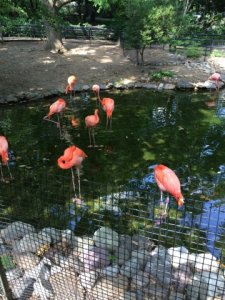 img_5600.jpg