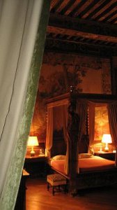 Brissac room from window.jpg